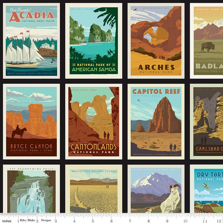 PREORDER - National Parks - Posters in Black - Anderson Design Group - C8780-BLACK - Half Yard