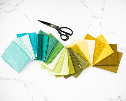 Color Camp Grove Half Yard Bundle by Alison Glass, 21 pieces (Preorder)