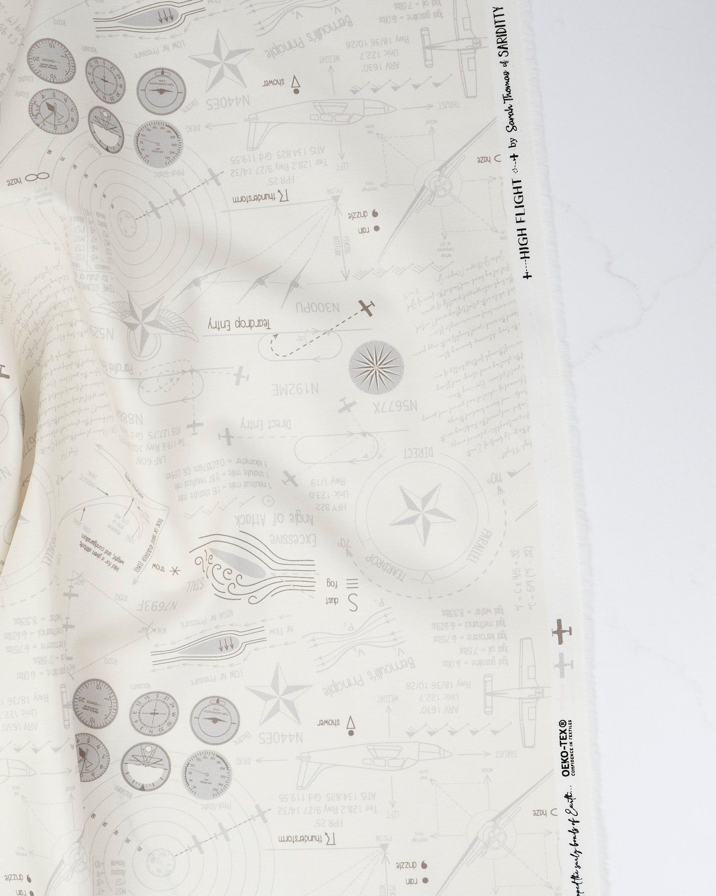 High Flight - Ground School - Sariditty - 45061 21 - Half Yard