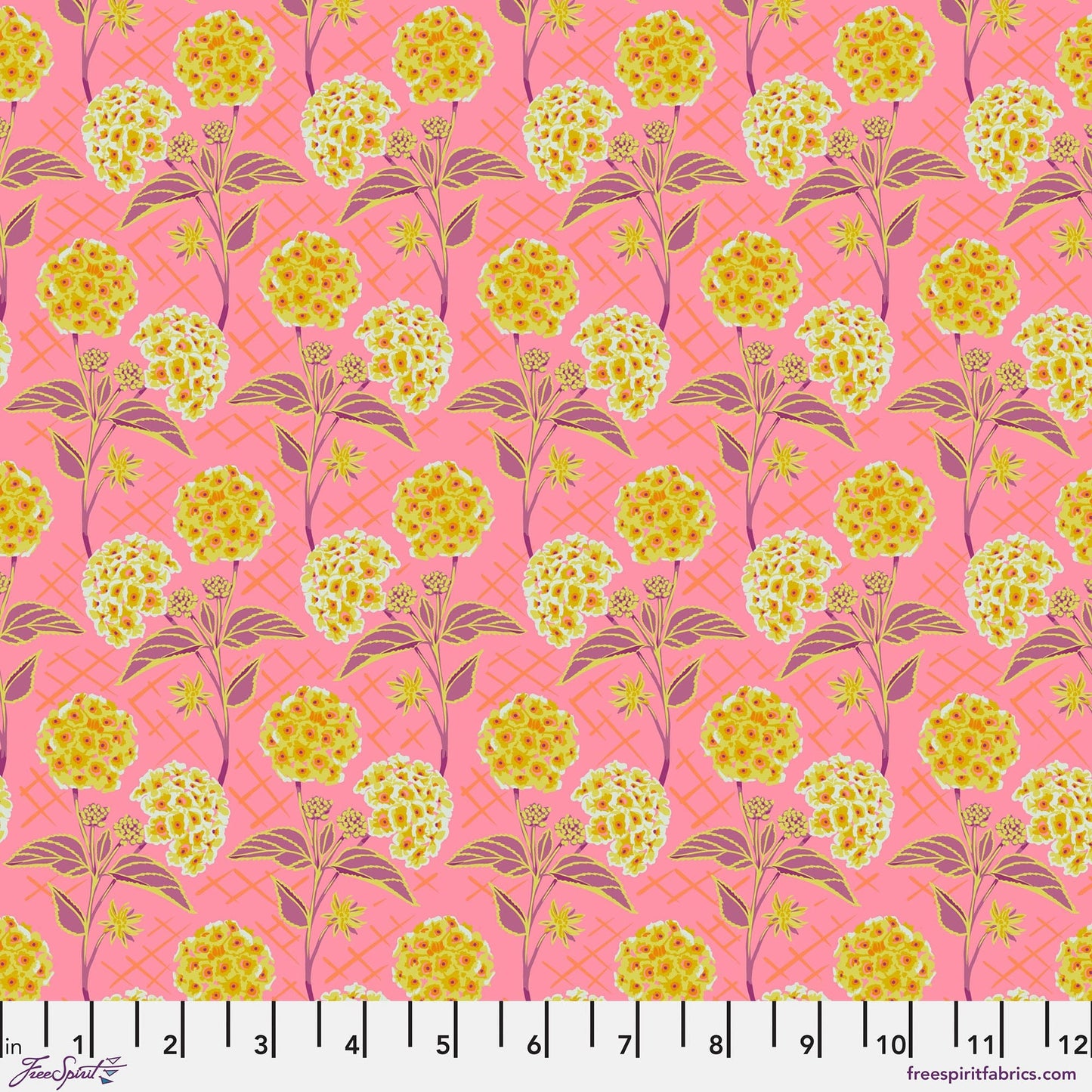 Our Fair Home - Trellis in Peach - PWAH213.PEACH - Half Yard