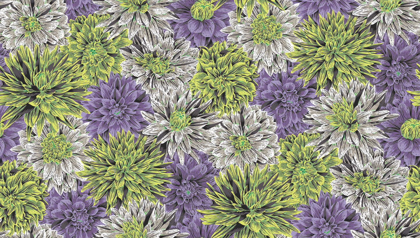 Bursting Stripes in Contrast - Kaffe Fassett Collective - Half Yard