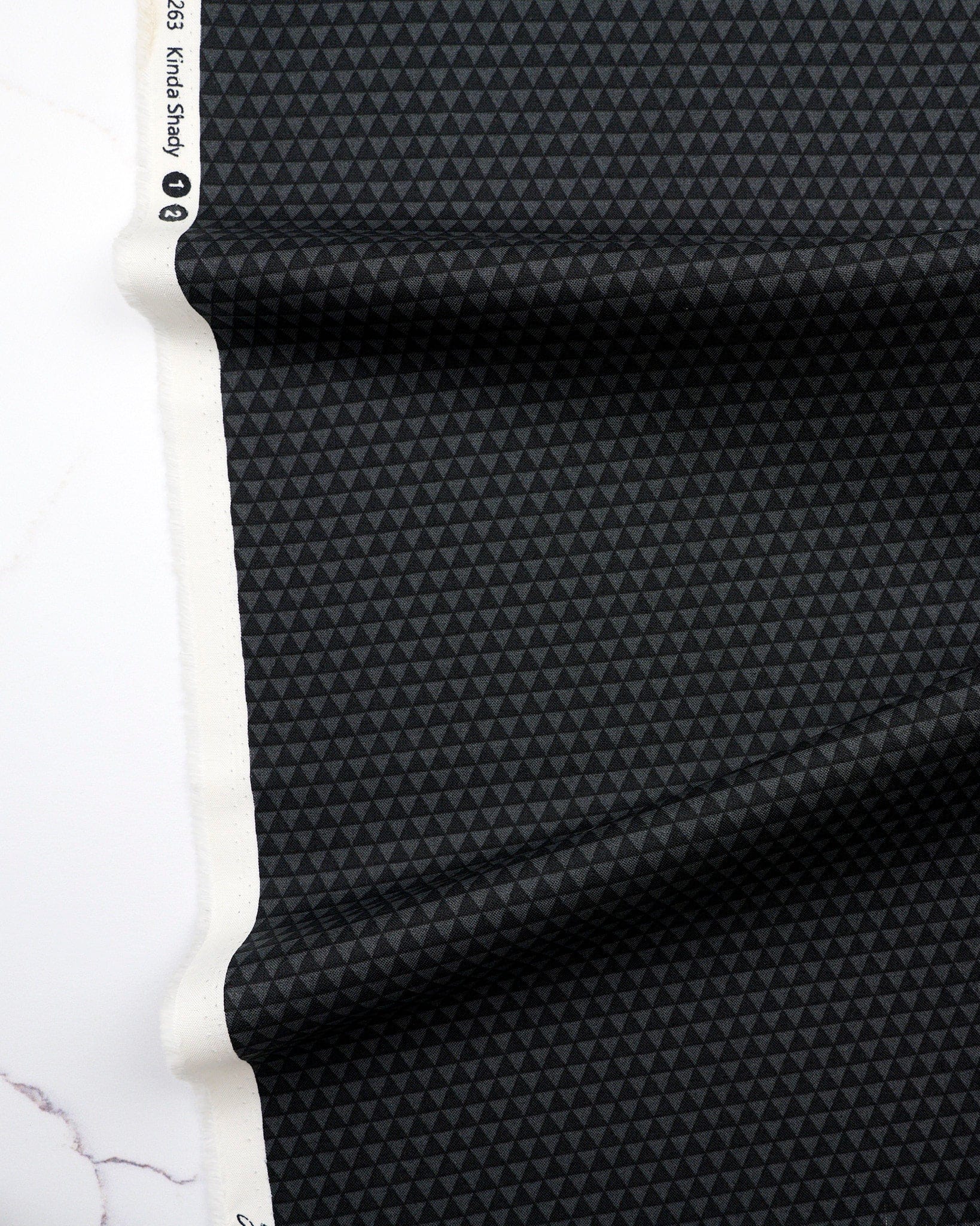 Kinda Shady in Carbon quilting fabric, part of the Fall 2025 True Colors fabric collection by Tula Pink (SKU: PWTP263.CARBON)