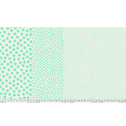 Stones in Oasis - True Colors by Tula Pink - Half Yard (Preorder)