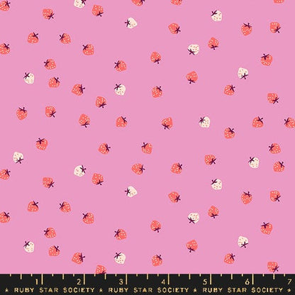 Strawberry - Mini Berry in Daisy - Kimberly Kight - RS3086 19 - Half Yard