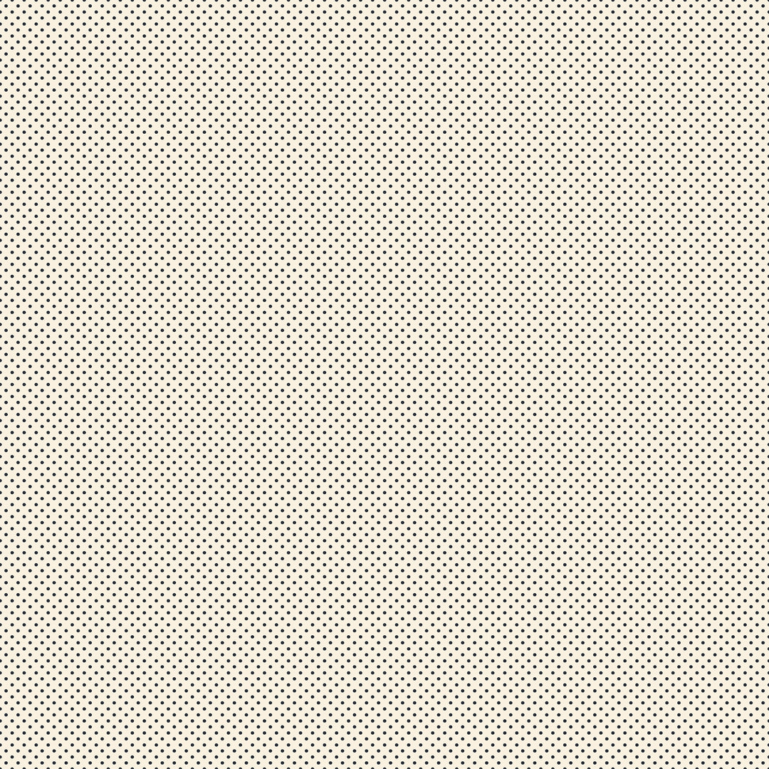 A closeup shot of the quilting fabric pattern called Mini Dot, designed by Alexia Abegg for Ruby Star Society, in the black on natural colorway. The SKU is RS4102 20.
