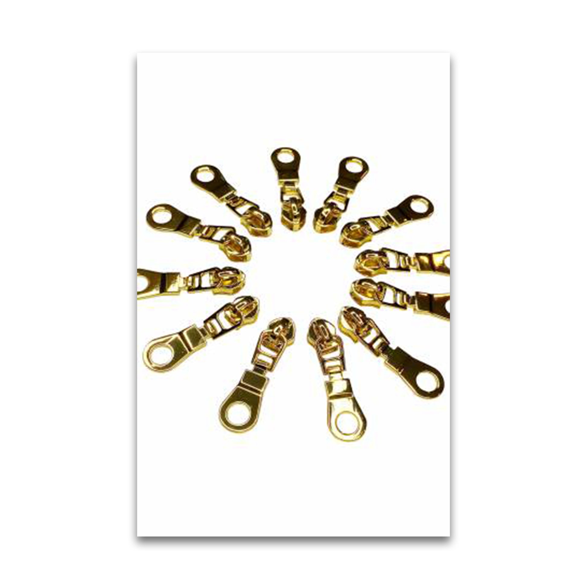 Sassafras Lane - Zipper Pulls - Gold - SASSKIT14G