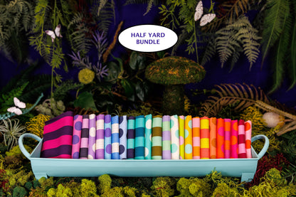True Colors Sticks and Stones HALF YARD BUNDLE by Tula Pink, 24 pieces (Preorder)