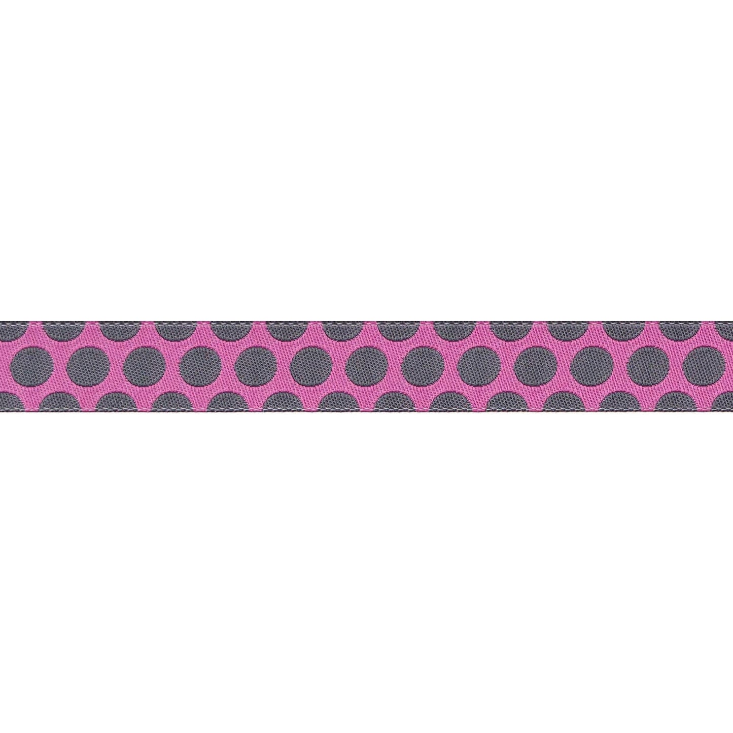 Renaissance Ribbons - Dinosaur Eggs in Mist - 5/8" width - Tula Pink Roar! - One Yard