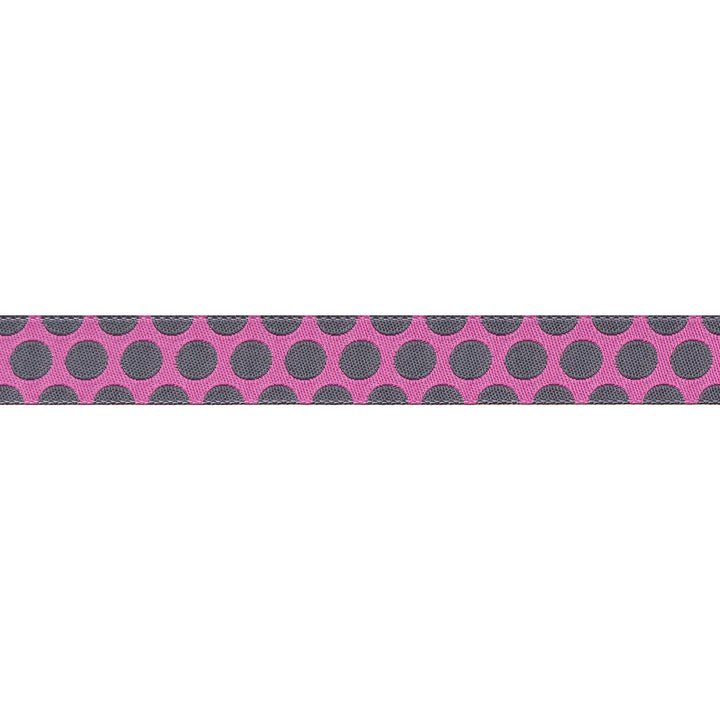 Renaissance Ribbons - Dinosaur Eggs in Mist - 5/8" width - Tula Pink Roar! - One Yard