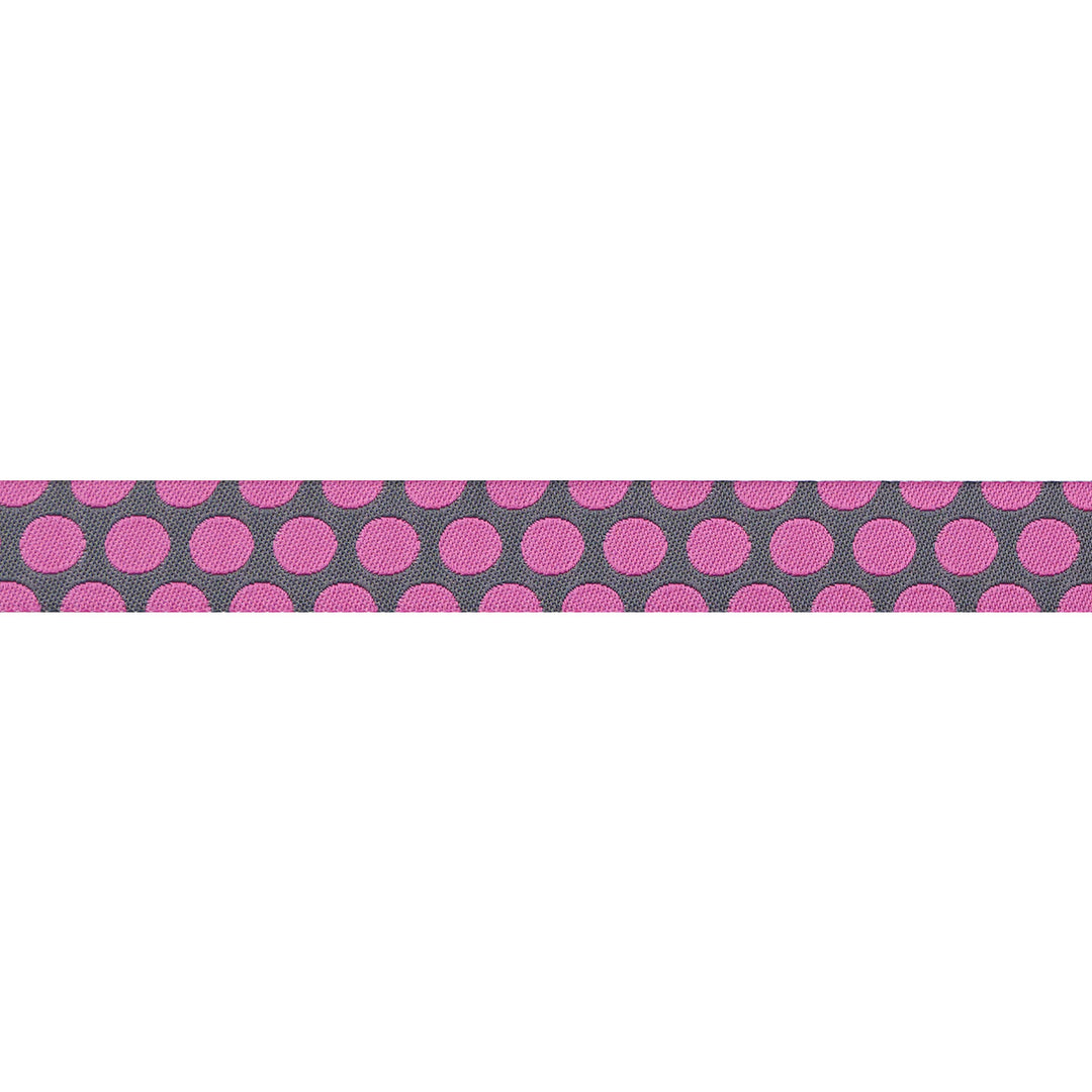 Renaissance Ribbons - Dinosaur Eggs in Mist - 5/8" width - Tula Pink Roar! - One Yard