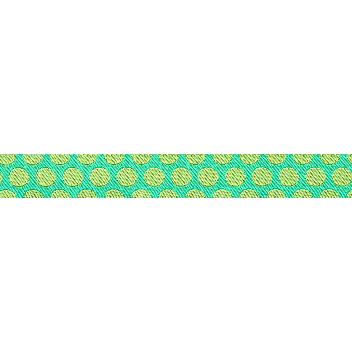 Renaissance Ribbons - Dinosaur Eggs in Mint - 5/8" width - Tula Pink Roar! - One Yard