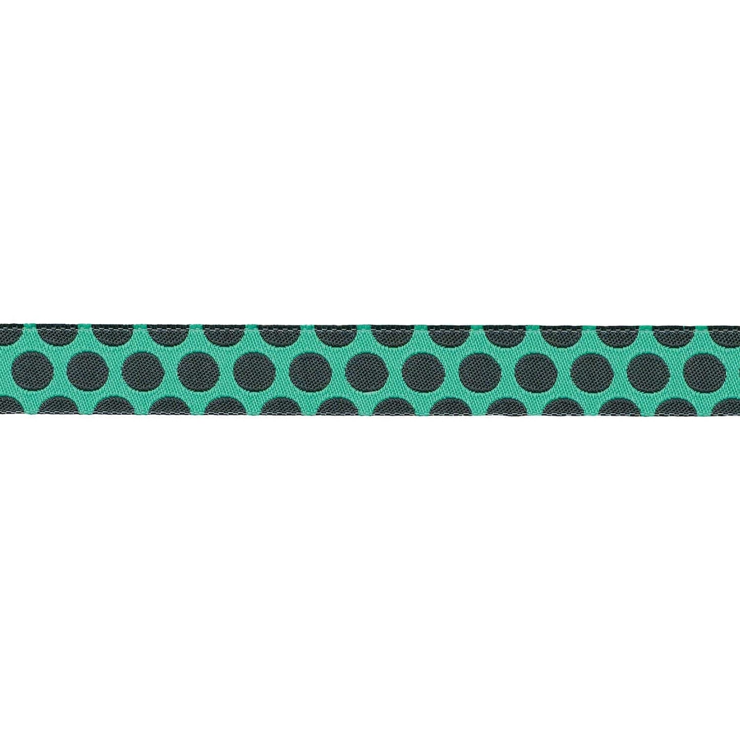 Renaissance Ribbons - Dinosaur Eggs in Storm - 5/8" width - Tula Pink Roar! - One Yard