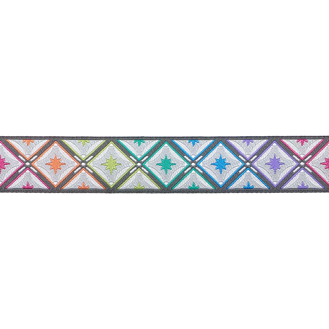 Renaissance Ribbons - Stargazer in Storm - 7/8" width - Tula Pink Roar! - One Yar