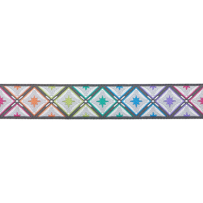 Renaissance Ribbons - Stargazer in Storm - 7/8" width - Tula Pink Roar! - One Yar