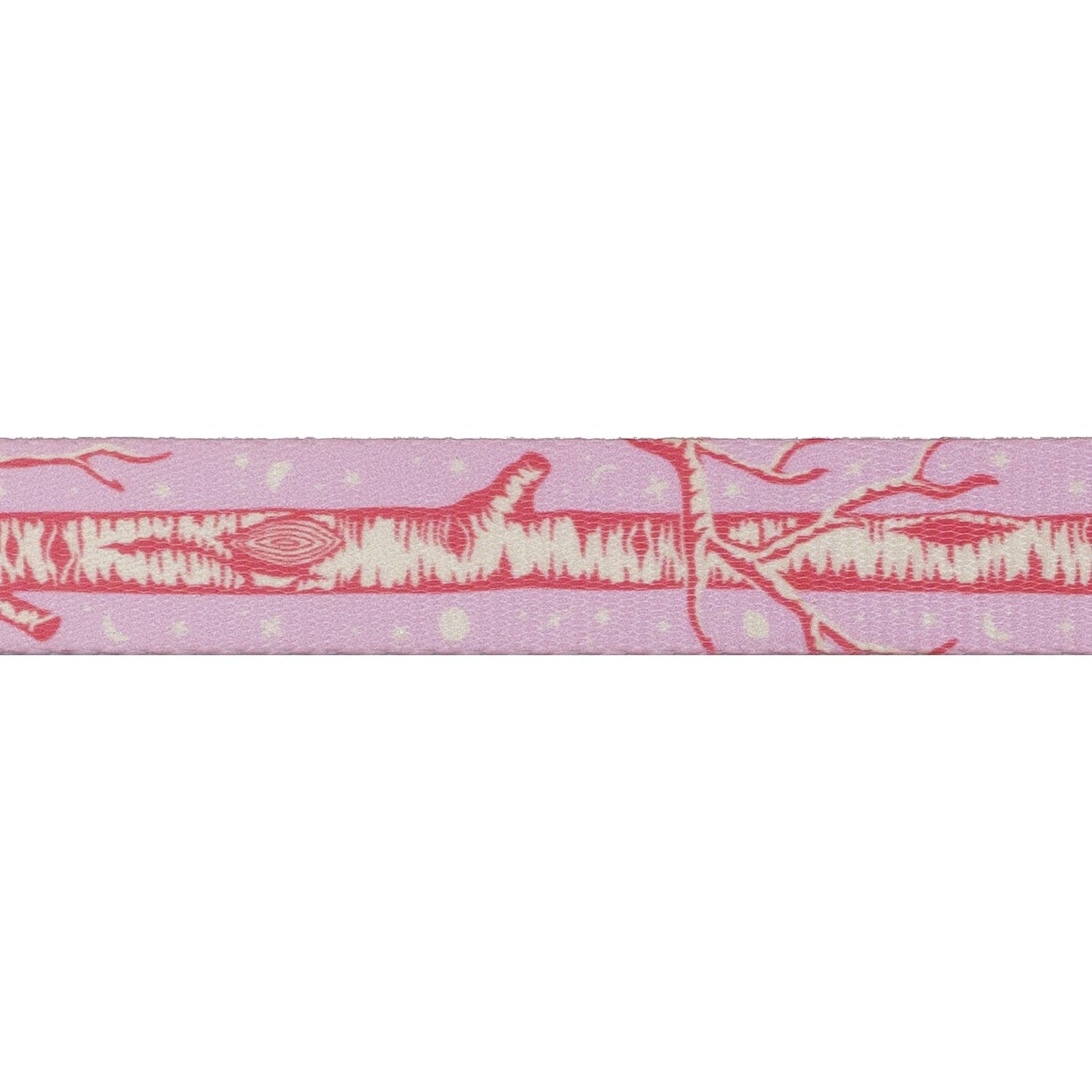 Renaissance Ribbons - Full Moon Forest II - Little Tree Webbing in Honey - 1" width - Tula Pink - One Yard