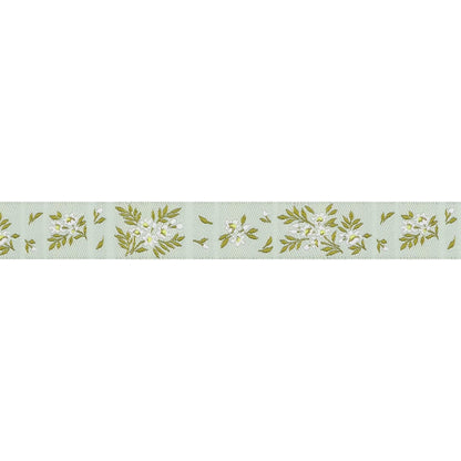 Renaissance Ribbons - True Colors 2025 - What a Ditz in Spearmint - 5/8" width - By Tula Pink - One Yard