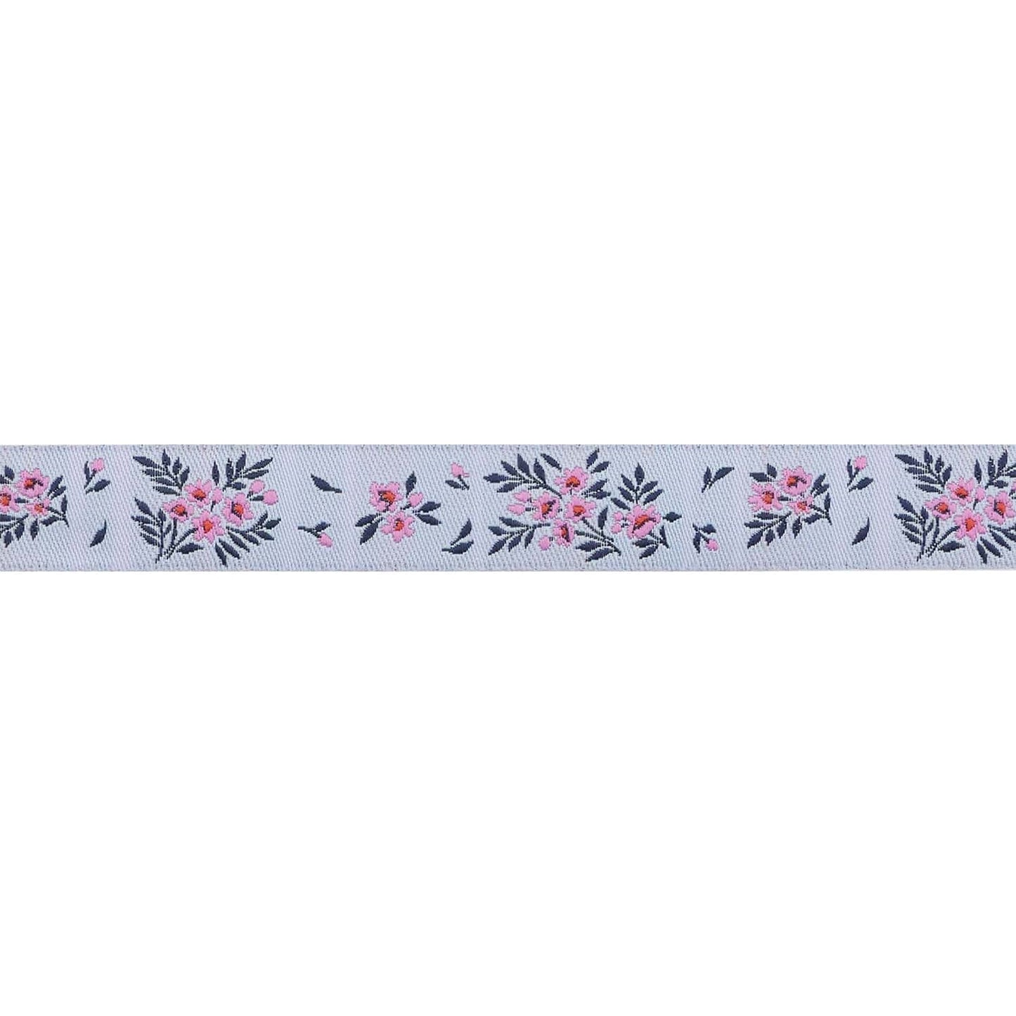 Renaissance Ribbons - True Colors 2025 - What a Ditz in Frost - 5/8" width - By Tula Pink - One Yard
