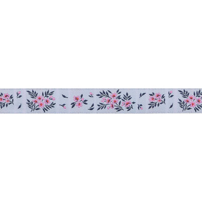 Renaissance Ribbons - True Colors 2025 - What a Ditz in Frost - 5/8" width - By Tula Pink - One Yard