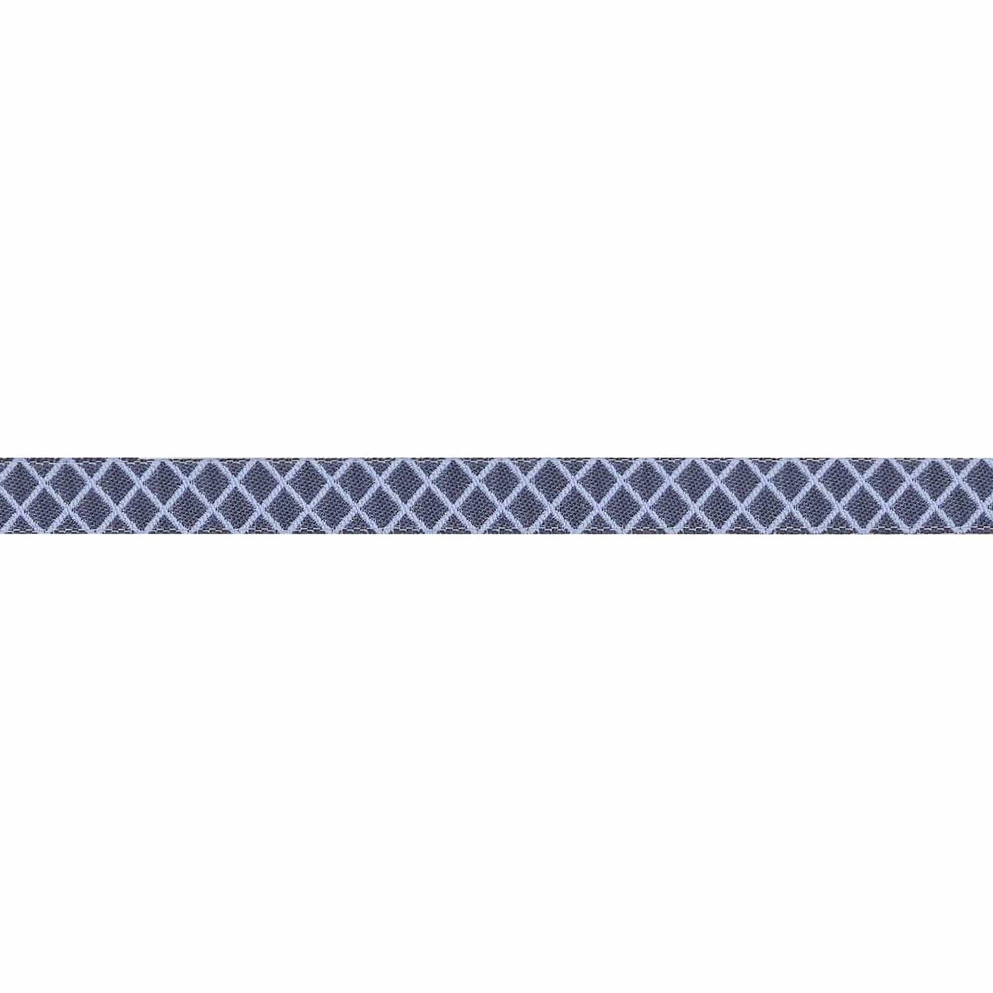 Renaissance Ribbons - True Colors 2025 - On the Grid in Shoreline - 3/8" width - By Tula Pink - One Yard