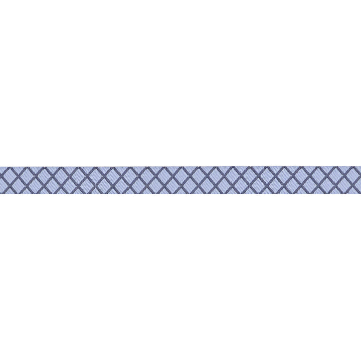 PREORDER - Renaissance Ribbons - True Colors 2025 - On the Grid in Shoreline - 3/8" width - By Tula Pink - One Yard