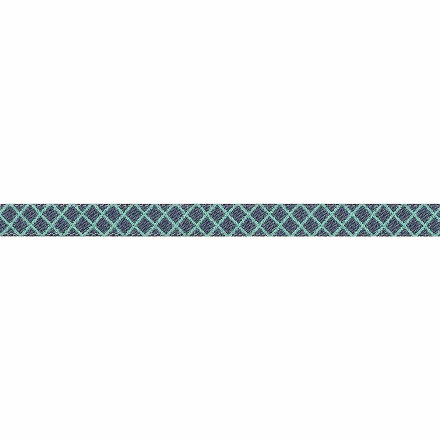 Renaissance Ribbons - True Colors 2025 - On the Grid in Raindrop - 3/8" width - By Tula Pink - One Yard