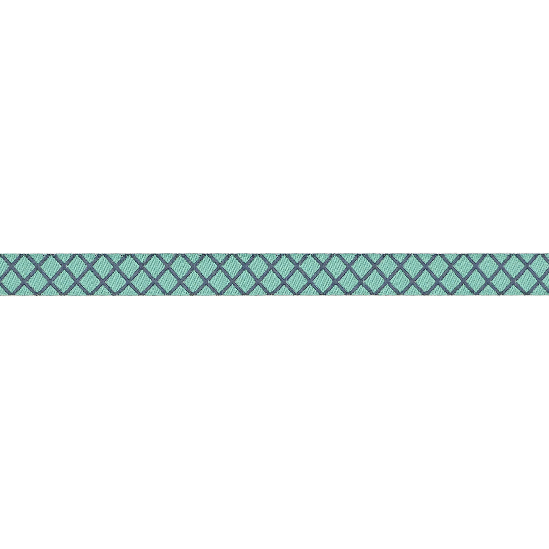 PREORDER - Renaissance Ribbons - True Colors 2025 - On the Grid in Raindrop - 3/8" width - By Tula Pink - One Yard