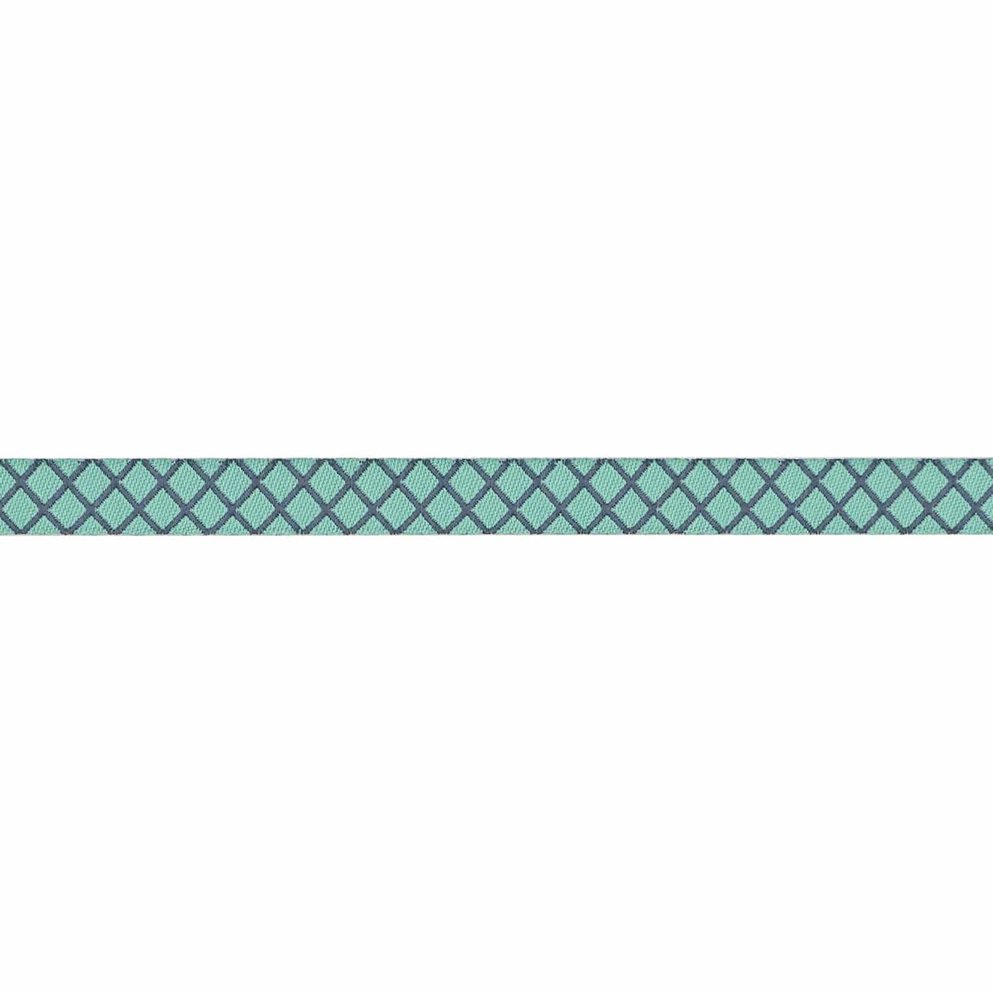 Renaissance Ribbons - True Colors 2025 - On the Grid in Raindrop - 3/8" width - By Tula Pink - One Yard