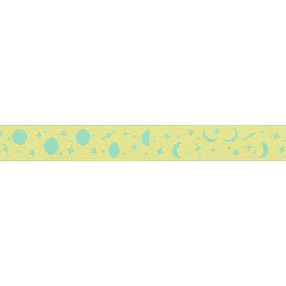 Renaissance Ribbons - True Colors 2025 - Space Sprinkles in Sea Glass - 5/8" width - By Tula Pink - One Yard