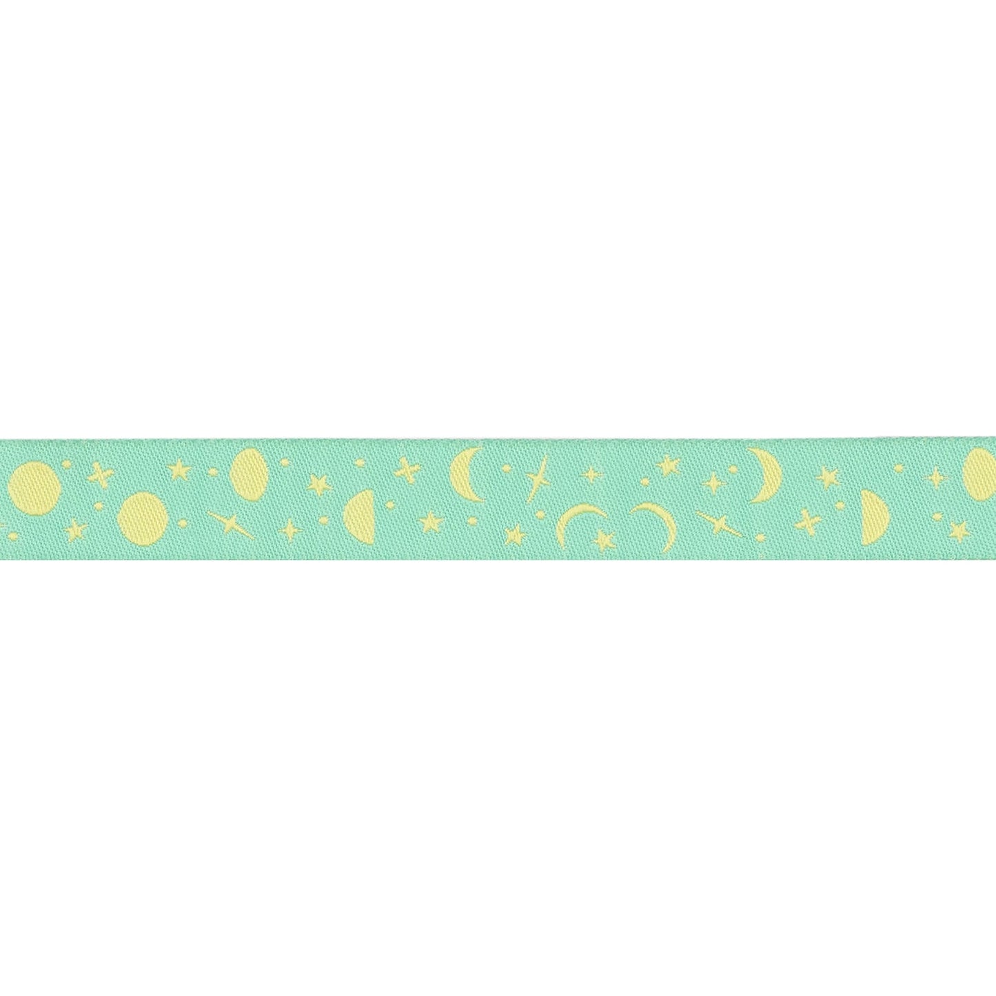 Renaissance Ribbons - True Colors 2025 - Space Sprinkles in Sea Glass - 5/8" width - By Tula Pink - One Yard