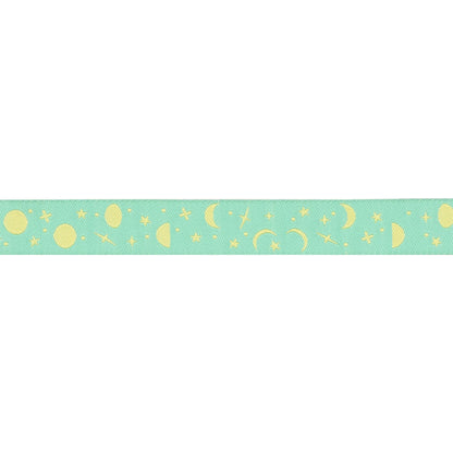 Renaissance Ribbons - True Colors 2025 - Space Sprinkles in Sea Glass - 5/8" width - By Tula Pink - One Yard