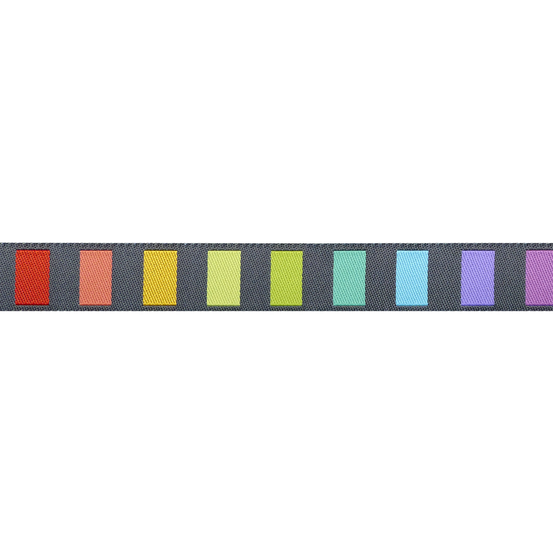Graywork - Disco Stripe in Carbon - 5/8" width - by Tula Pink - One Yard (Preorder)