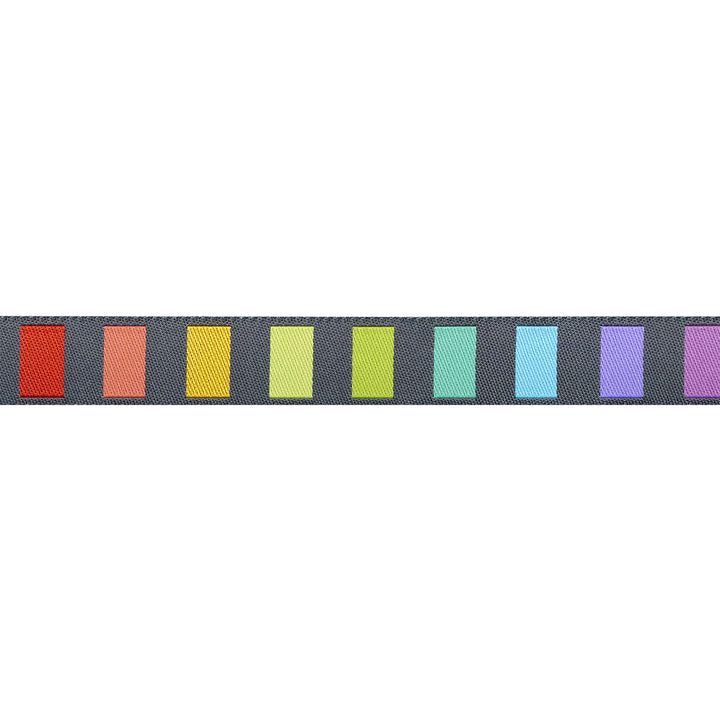 Graywork - Disco Stripe in Carbon - 5/8" width - by Tula Pink - One Yard (Preorder)