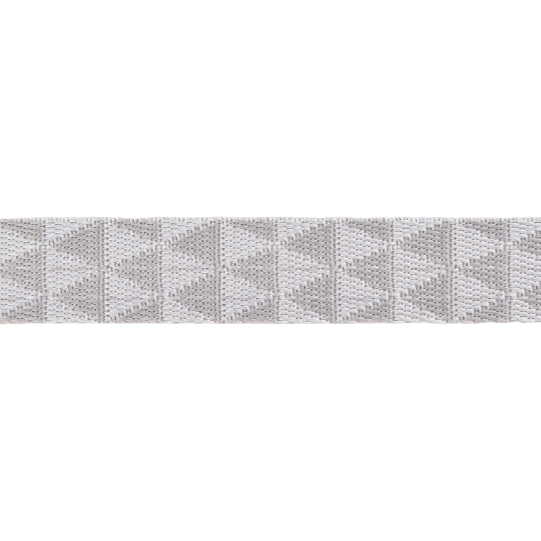 Graywork - Kinda Shady in Whisper WEBBING - 1" width - by Tula Pink - One Yard (Preorder)