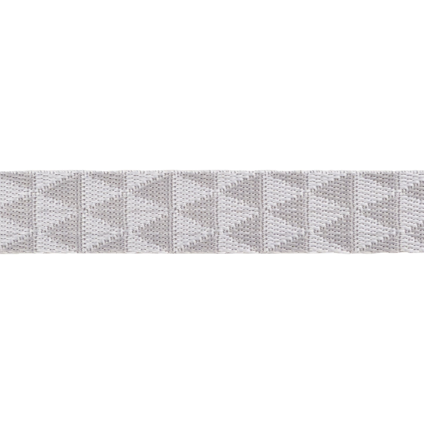 Graywork - Kinda Shady in Whisper WEBBING - 1" width - by Tula Pink - One Yard