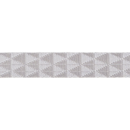 Graywork - Kinda Shady in Whisper WEBBING - 1" width - by Tula Pink - One Yard