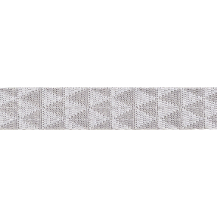 Graywork - Kinda Shady in Whisper WEBBING - 1" width - by Tula Pink - One Yard (Preorder)