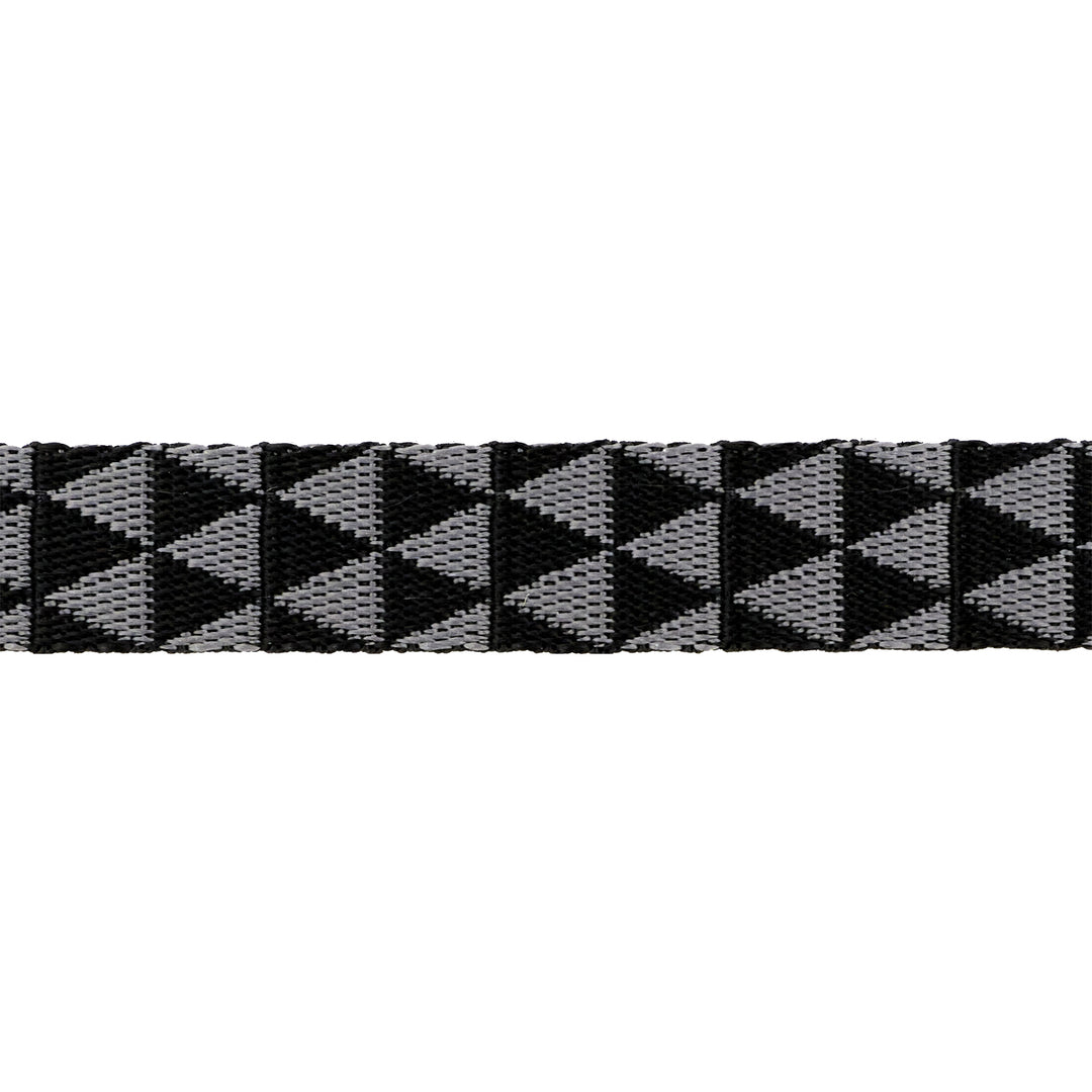 Graywork - Kinda Shady in Carbon WEBBING - 1" width - by Tula Pink - One Yard (Preorder)