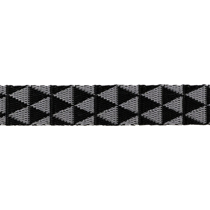 Graywork - Kinda Shady in Carbon WEBBING - 1" width - by Tula Pink - One Yard (Preorder)