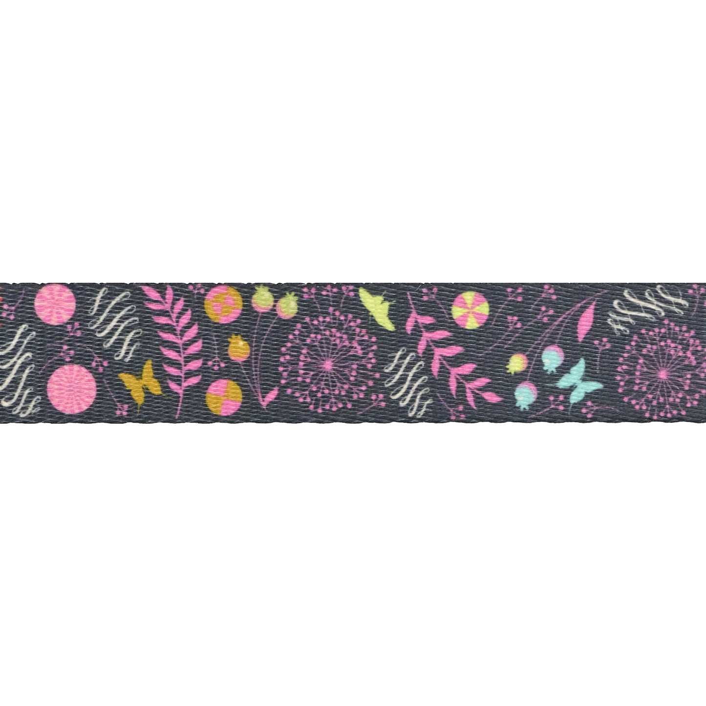 Prince Charming Deja Vu - Dandelion WEBBING - 1" width - by Tula Pink - 3 Yard Pack (Preorder)