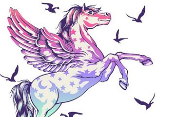Pegasus Pencil Pouch - Tula Pink - TPXSPG (Preorder)