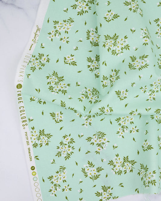 True Colors - What a Ditz in Spearmint - Tula Pink - PWTP253.SPEARMINT - Quilting Fabric
