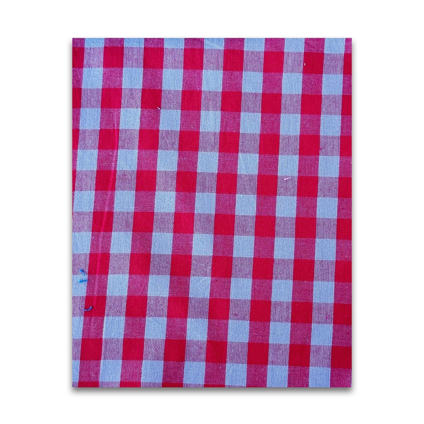 Garden Variety - Anna Maria Textiles - WAMT101-45C - Half Yard