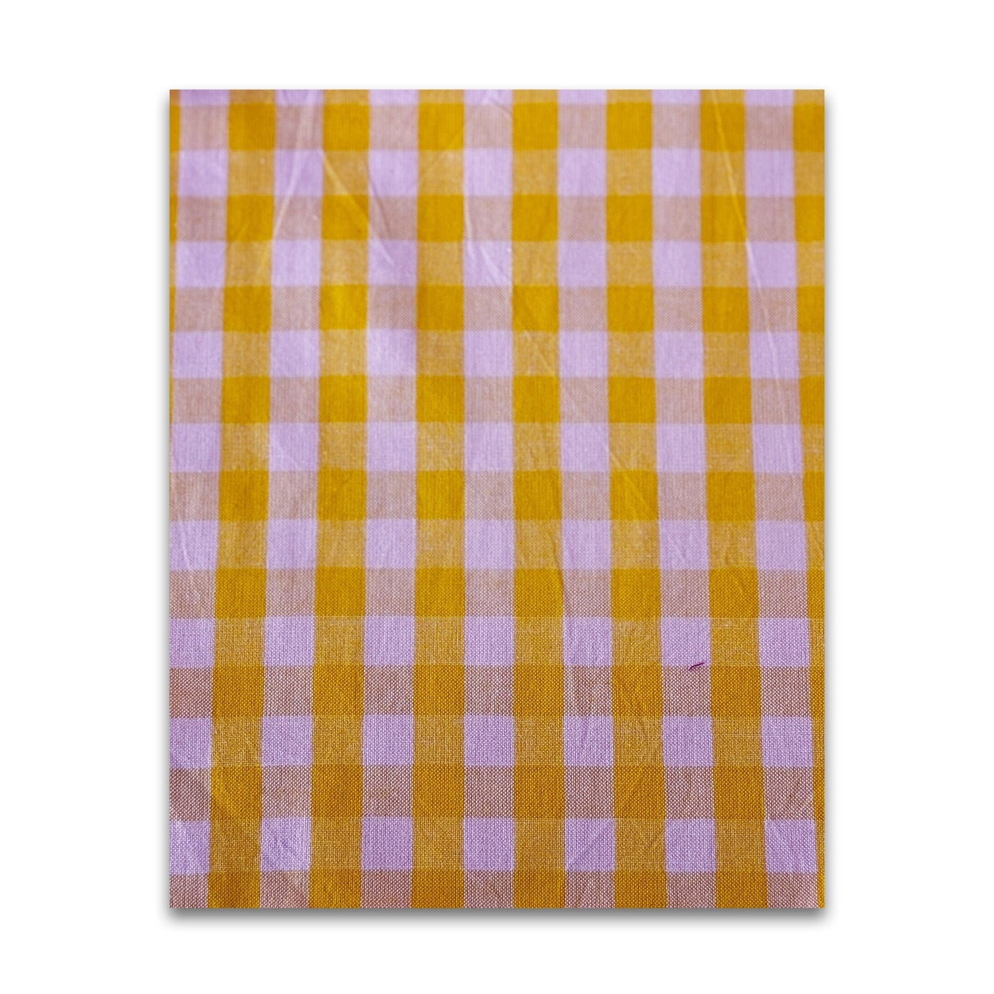 Garden Variety - Anna Maria Textiles - WAMT101-53V - Half Yard