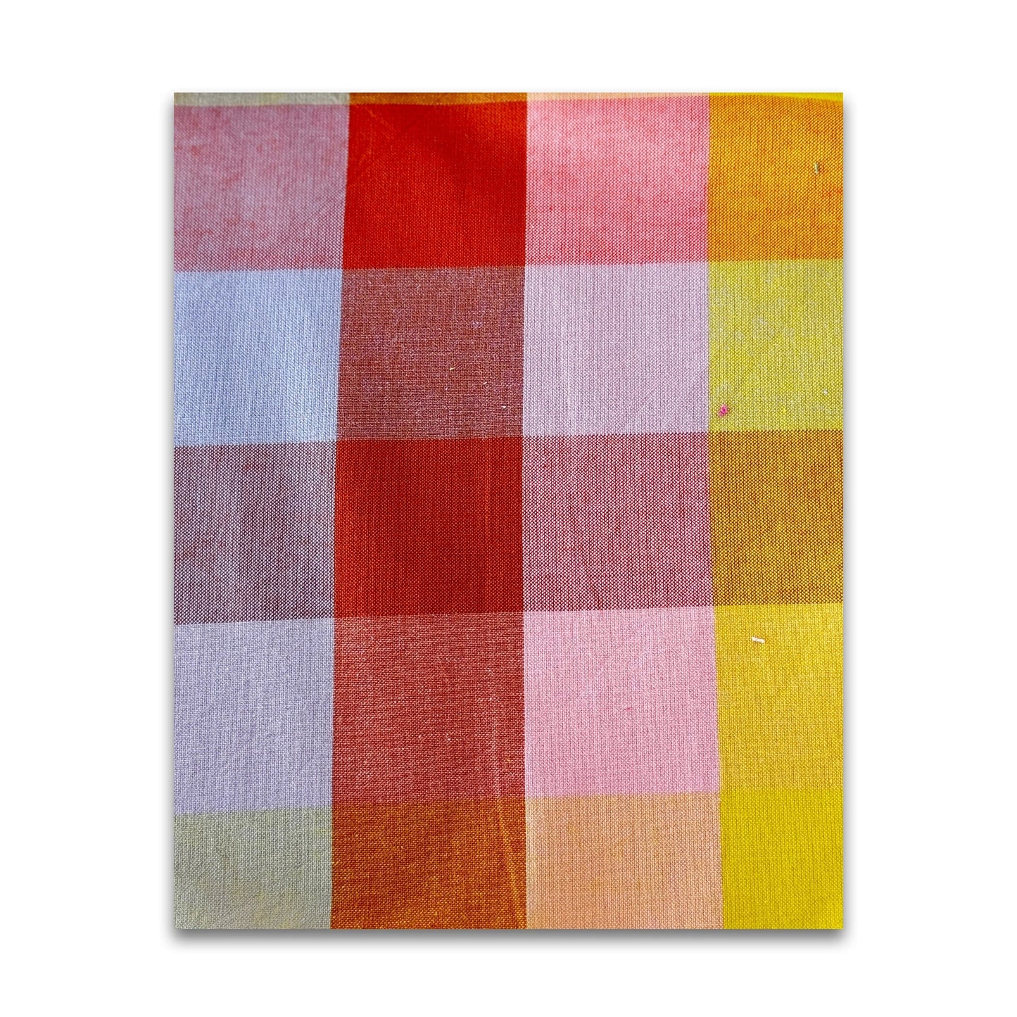 Garden Variety - Anna Maria Textiles - WAMT102-53V - Half Yard