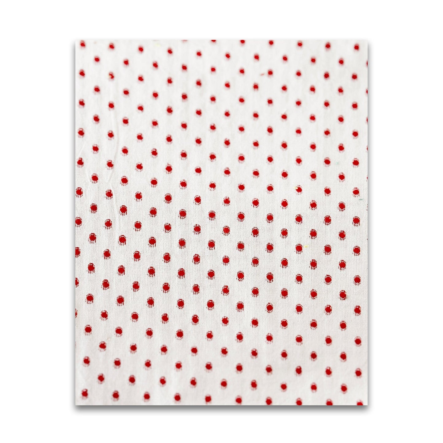 Garden Variety - Anna Maria Textiles - WAMT104-39V - Half Yard