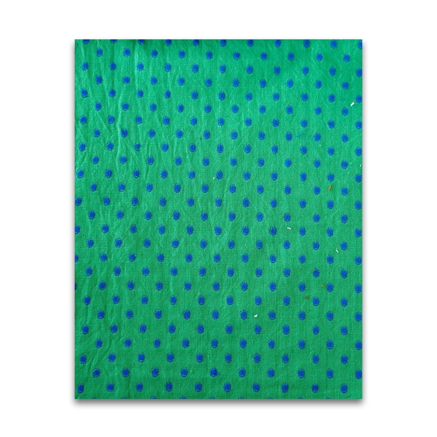 Garden Variety - Anna Maria Textiles - WAMT104-74C - Half Yard