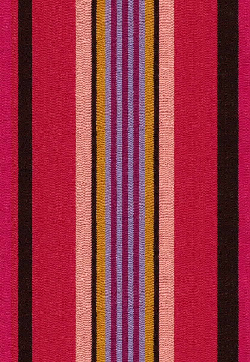 A closeup shot of the quilting fabric pattern called Director, designed by Anna Maria Horner, in the warm colorway. The SKU is WAMT105-59L.