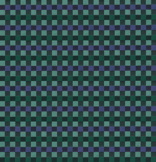 Alternate in Wave woven fabric, part of the Check Mates fabric collection by Anna Maria Textiles (SKU: WAMT110-99C)