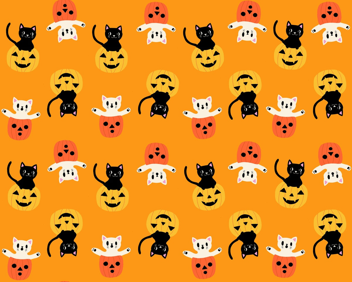 Black and white Halloween cats with pumpkins on bright orange cheddar cotton quilting fabric from Boo Valley by Ruby Star Society's Alexia Abegg.