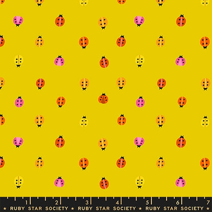 Daisy Days - Ladybug in Golden Hour - by Ruby Star Society (Preorder)